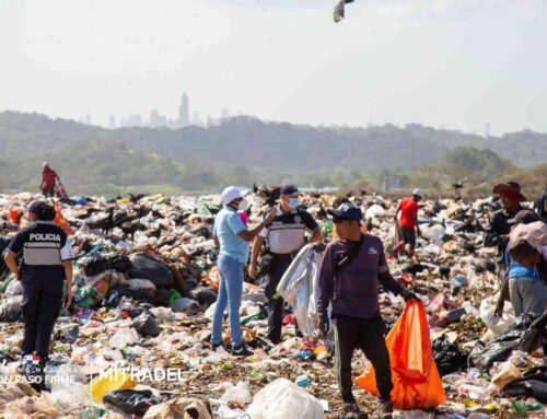 Detectan menores de edad durante operativo interinstitucional contra el Trabajo Infantil en Cerro Patacón