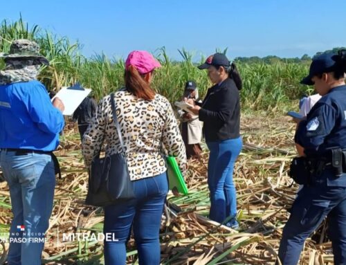 Mitradel refuerza acciones para prevenir el trabajo infantil durante zafra en Veraguas